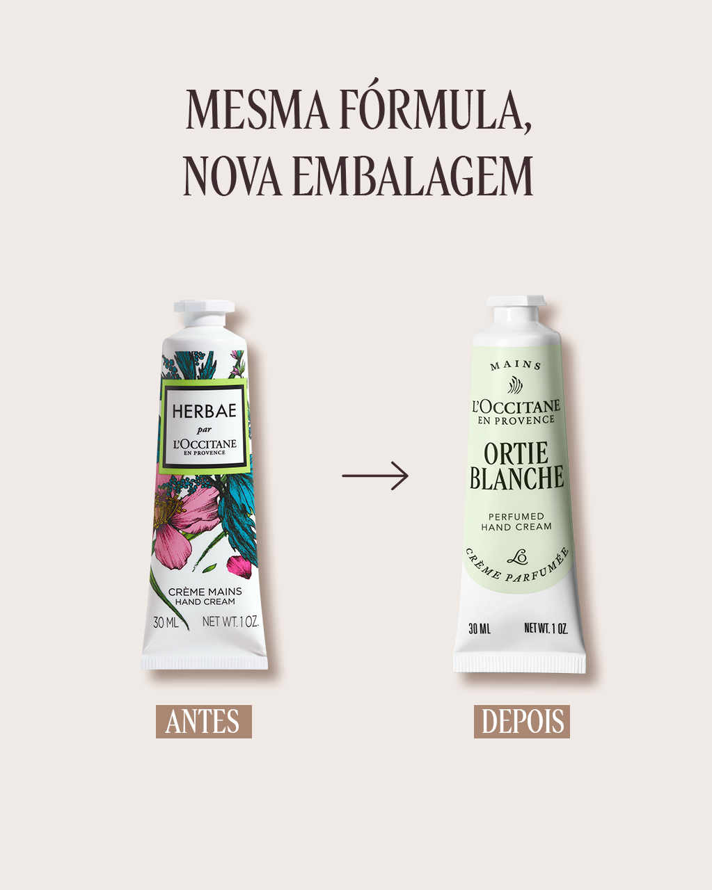 Creme para Mãos Perfumado Ortie Blanche 30mL (Herbae) | L'Occitane